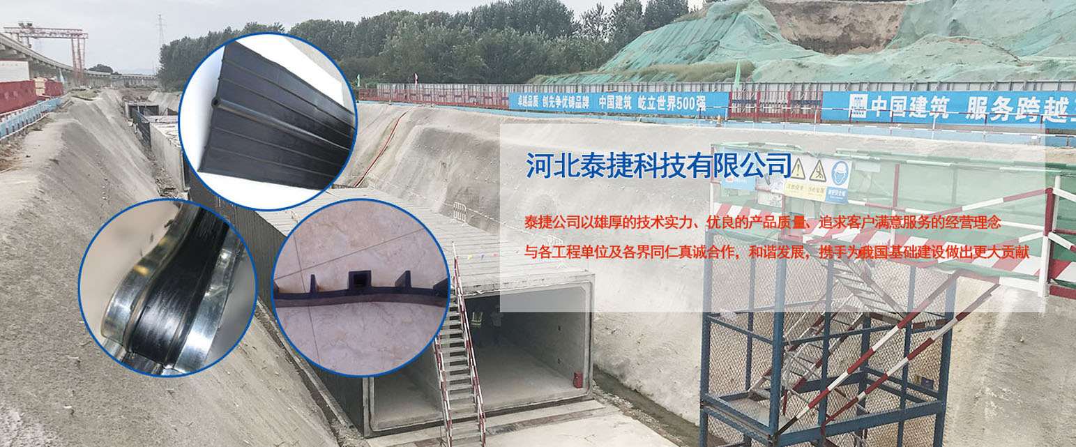 �ӱ�̩�ݿƼ����޹�˾